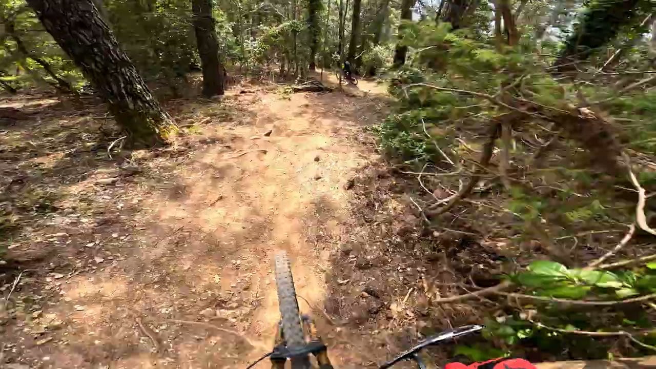 Cesane bike park, marzo 2026, wave track dh sempre full gass 