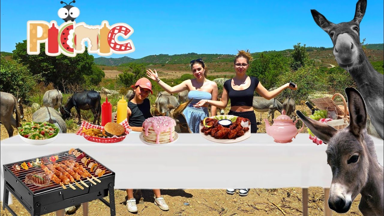 PIQUE NIQUE AVEC DES ÂNES #luniversdediana #sistersalipour #vlog