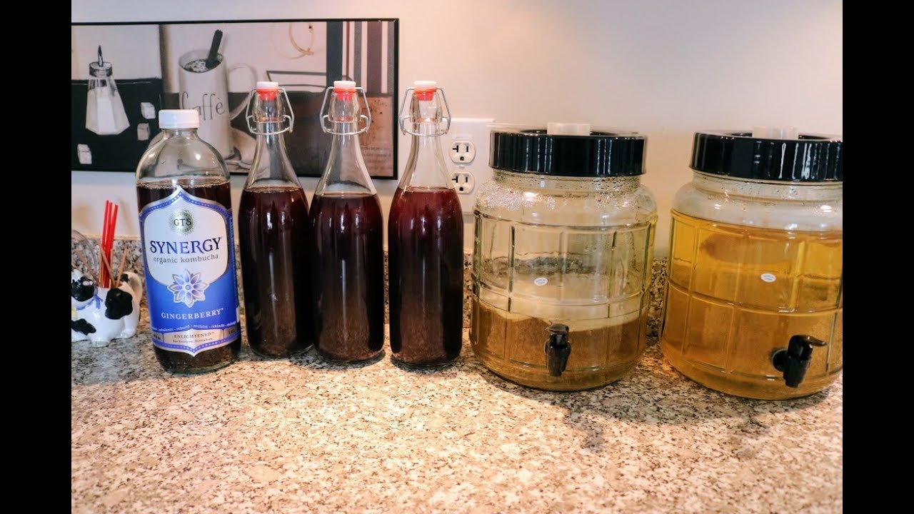 Brewing Kombucha