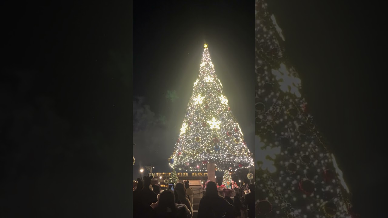 スターブライト・クリスマス