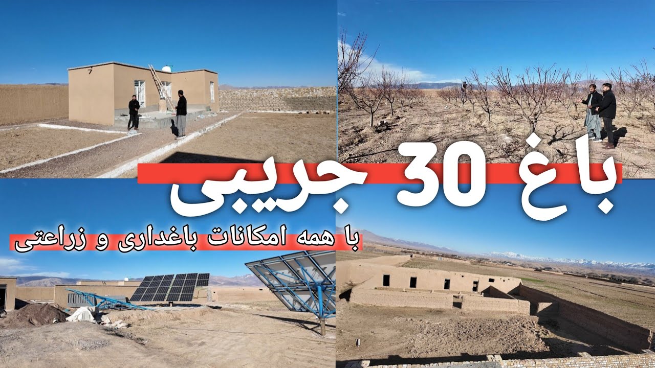 باغ 30 جریبی در کرخ هرات! درختان مثمر، آب دایمی، سولر | فرصت طلایی سرمایه‌گذاری