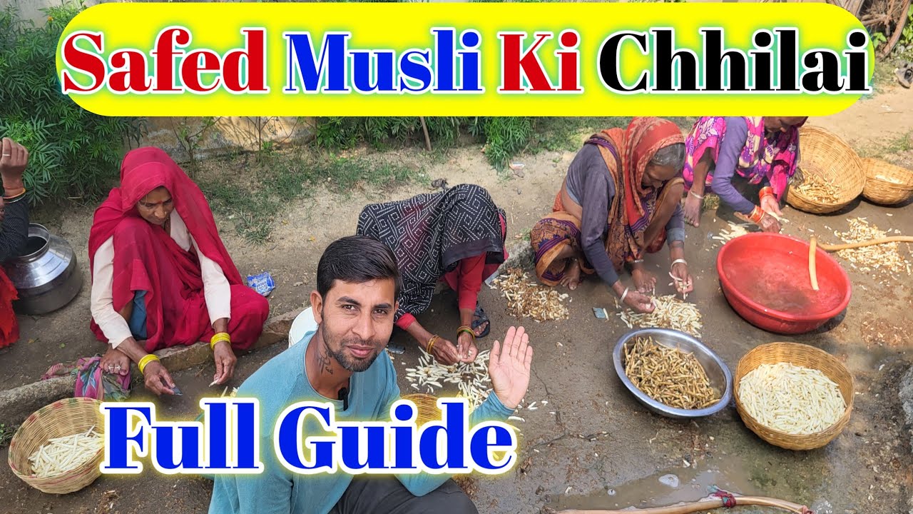 Day - 3 Safed Musli Ki Chhilai Full Tutorial || Safed Musli Kaise Kare ? Safed Musli Prossesing || 