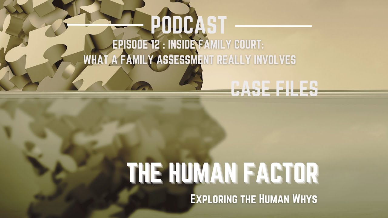 Inside Family Court: What a Family Assessment Really Involves