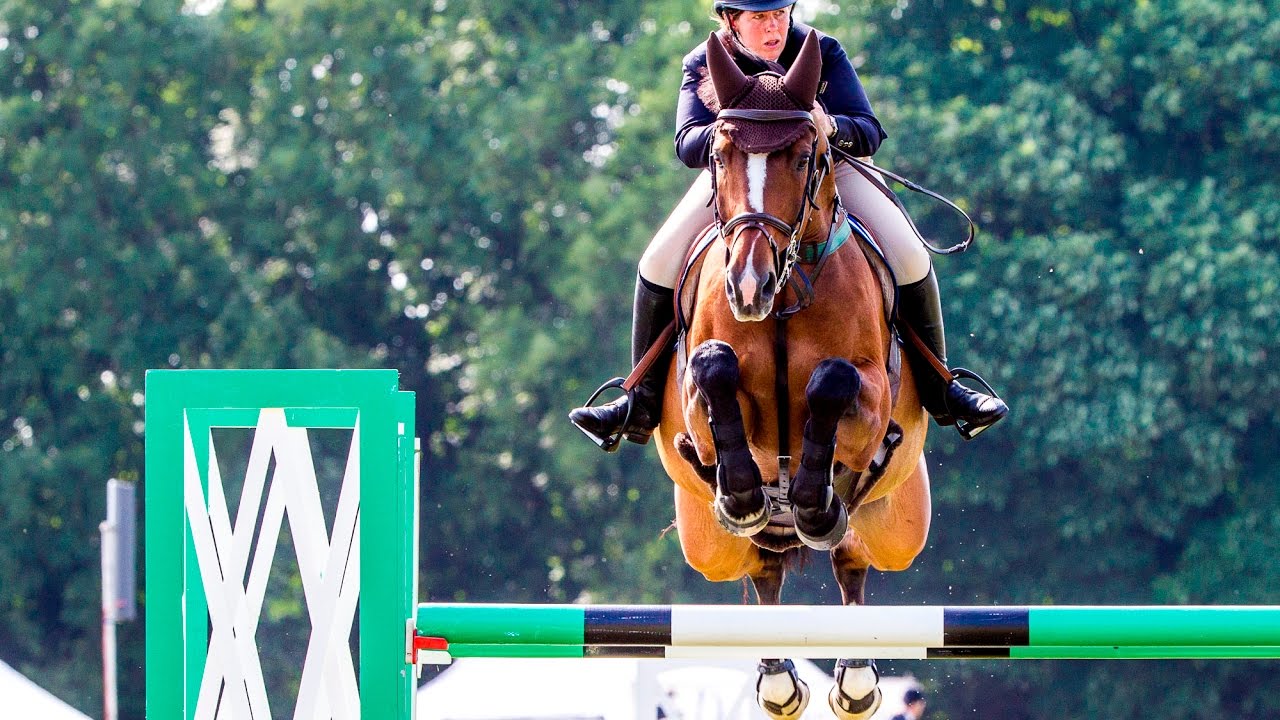 Equestrian Music Video || Light It Up