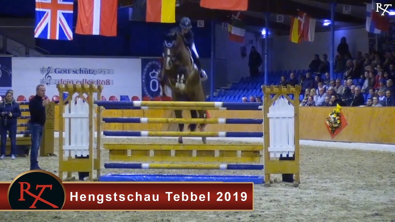 Hengstschau Tebbel 2019