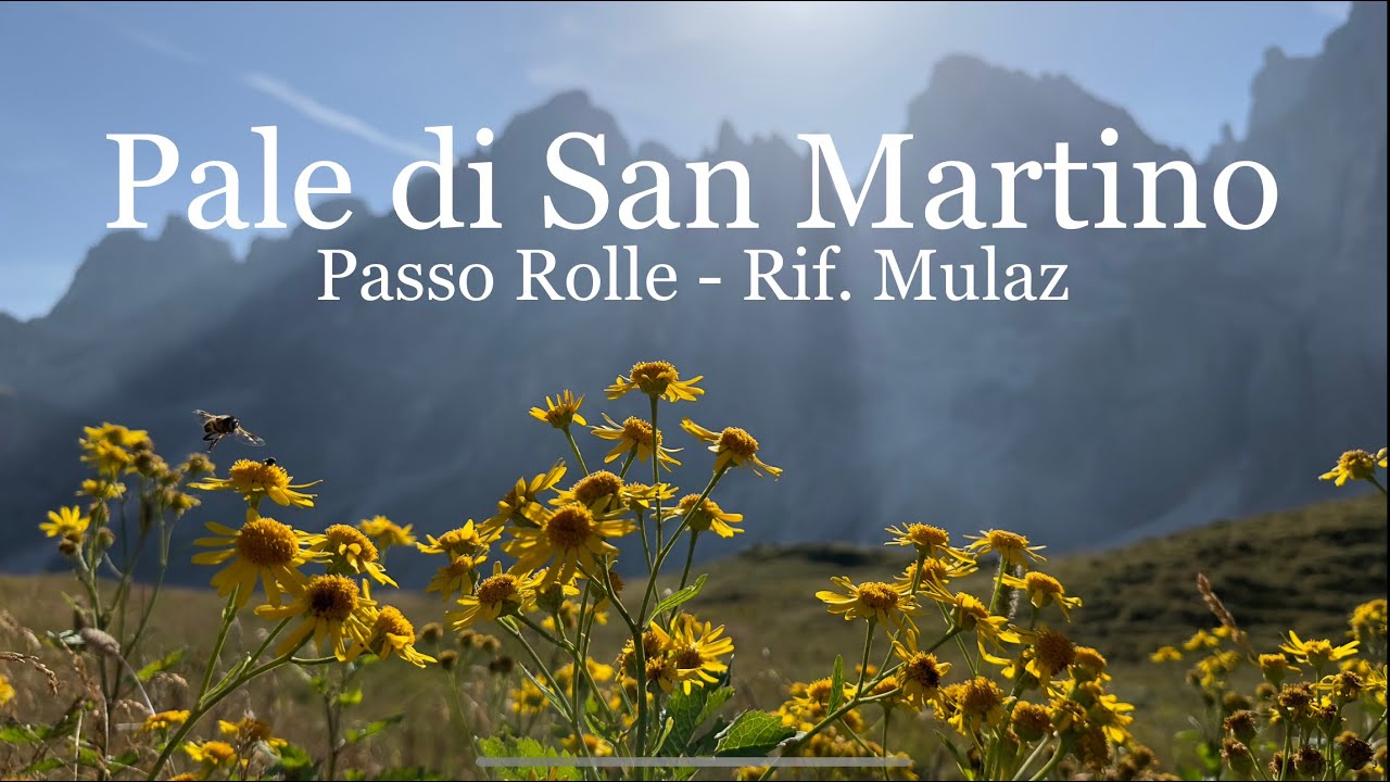 Passo Rolle - Rif Mulaz - Pale di San Martino - Dolomiti - Traccia Gpx in descrizione.