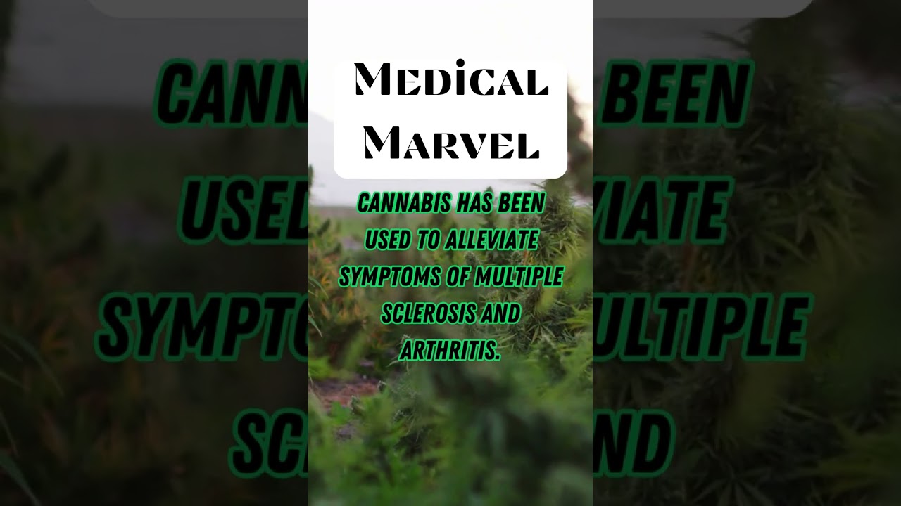 15 #cannabisbenefits #cannabishealth #cannabisfacts #cannabisknowledge