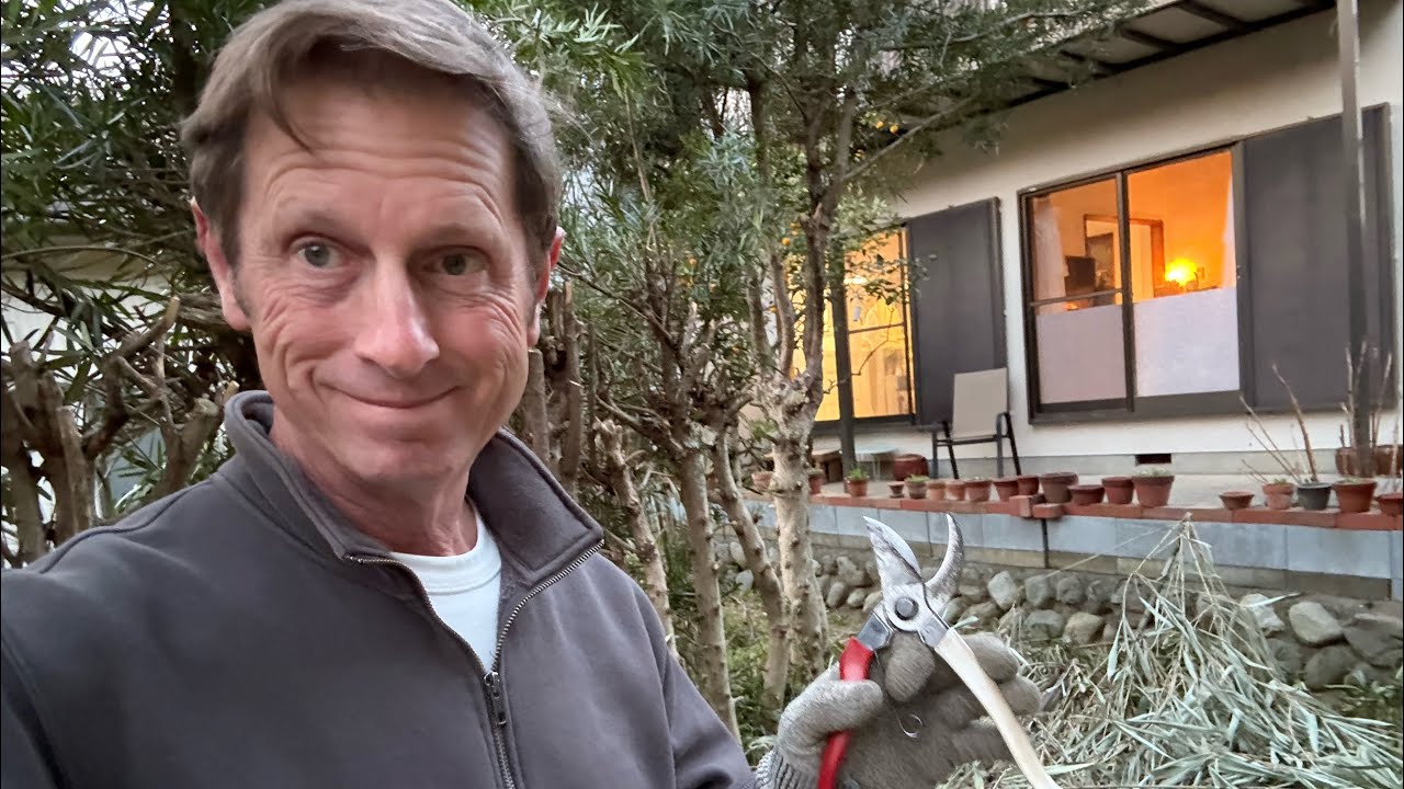 🏡 At Home in Japan — A Thursday Downtown: Coffee, Curry, Teaching, and Coming Home
