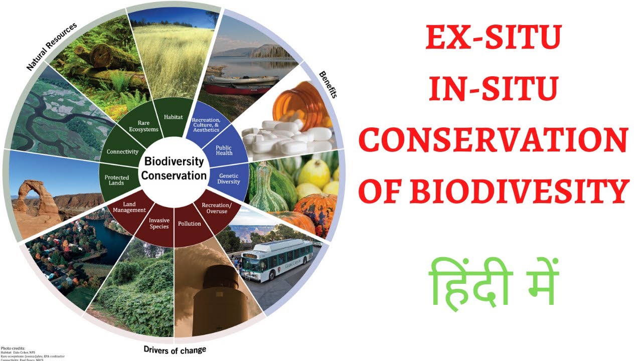 Understanding Insitu & Exsitu Modes of Biodiversity Conservation