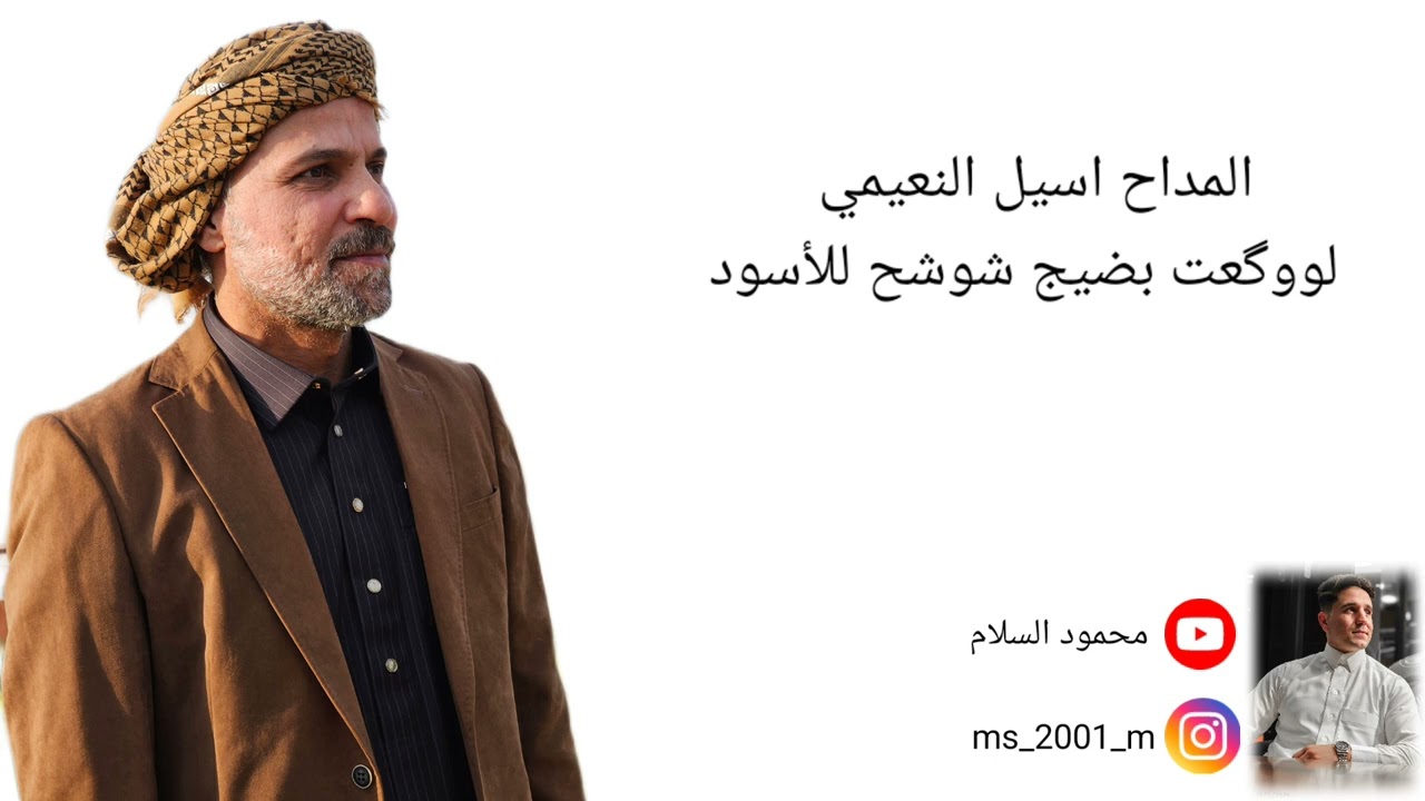 المداح اسيل النعيمي لووگعت بضيج شوشح للأسود
