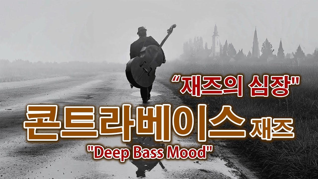 콘트라베이스 재즈 playlist 밤의 무게를 닮은 깊은 울림.