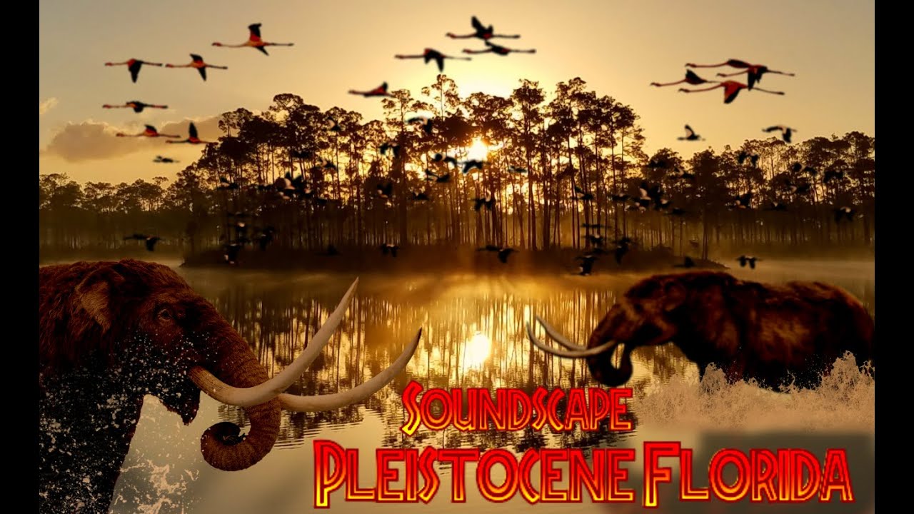 Prehistoric Soundscapes: Pleistocene Florida