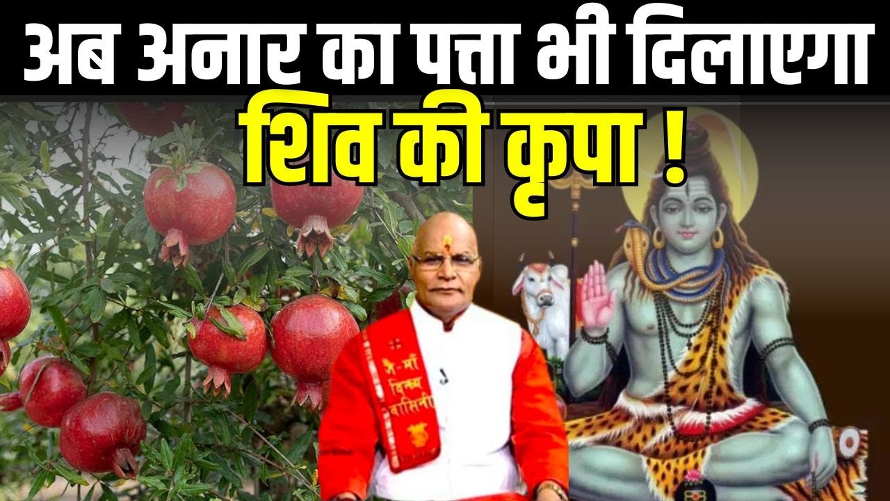 अब अनार का पत्ता भी दिलाएगा शिव की कृपा ! | Pandit Suresh Pandey | Darshan24