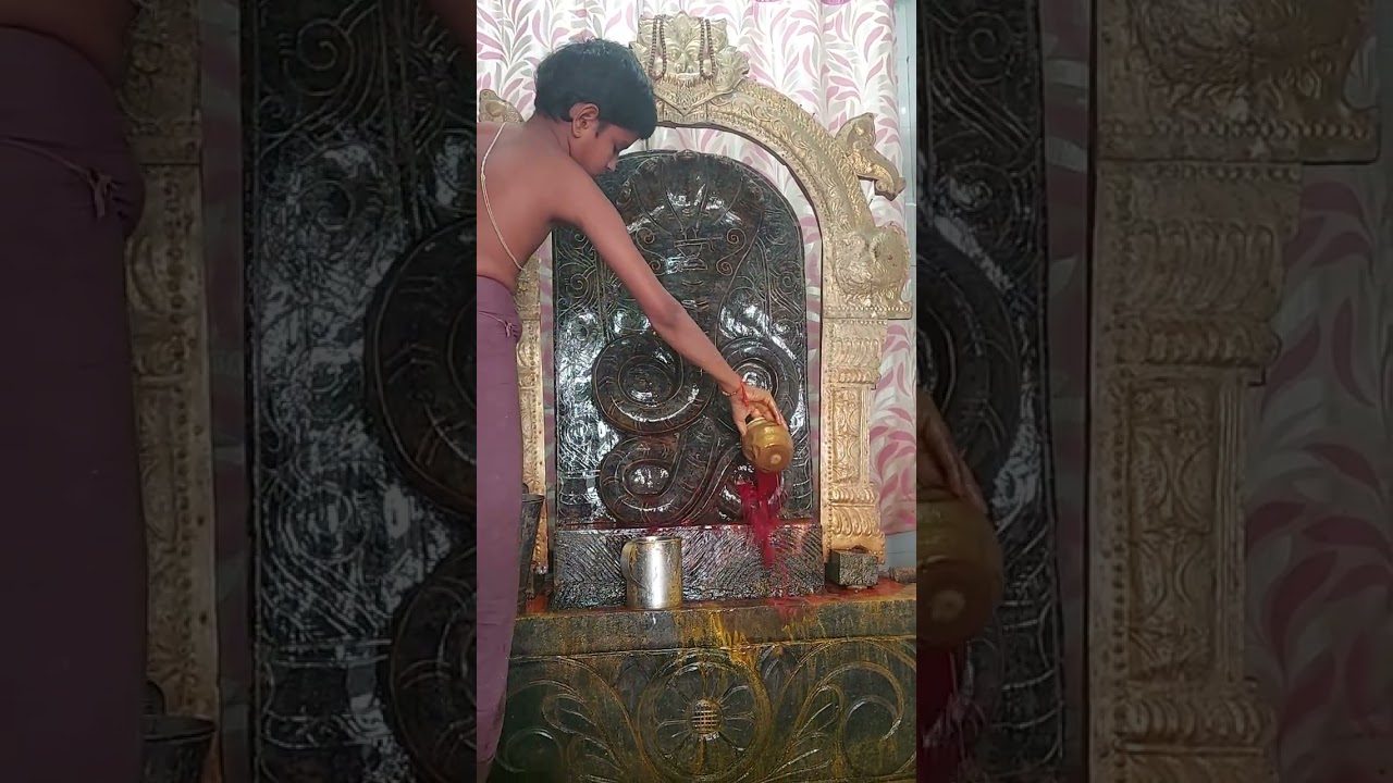బహుళ షష్టి సందర్భంగా సుబ్రహ్మణ్యేశ్వర స్వామి వారికి ప్రత్యేక అభిషేక కార్యక్రమం 