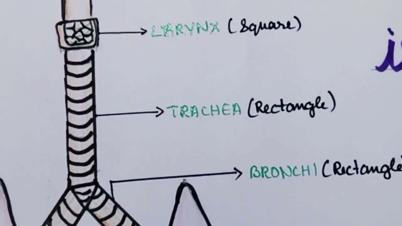 345. My Exptl Lrng. Creative Learning ways Applying Mathematical concepts in Science classroom READ