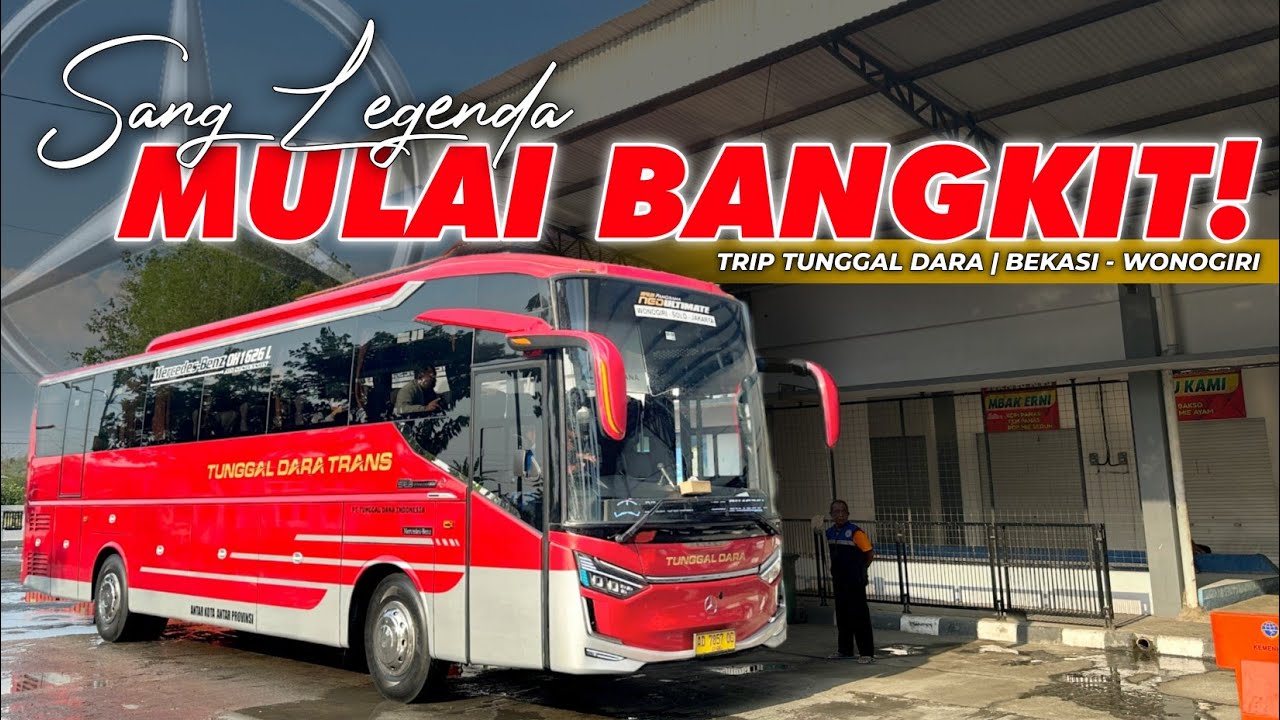 SANG LEGENDA AKHIRNYA PEREMAJAAN JUGA‼️😍 - Trip Tunggal Dara Angkatan Pagi | Bekasi - Wonogiri 