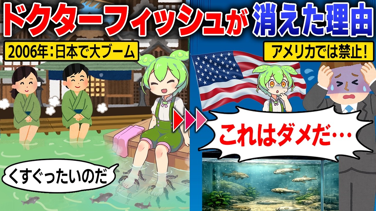 アメリカでは禁止だった？ドクターフィッシュ消えた理由…【ずんだもん＆ゆっくり解説】