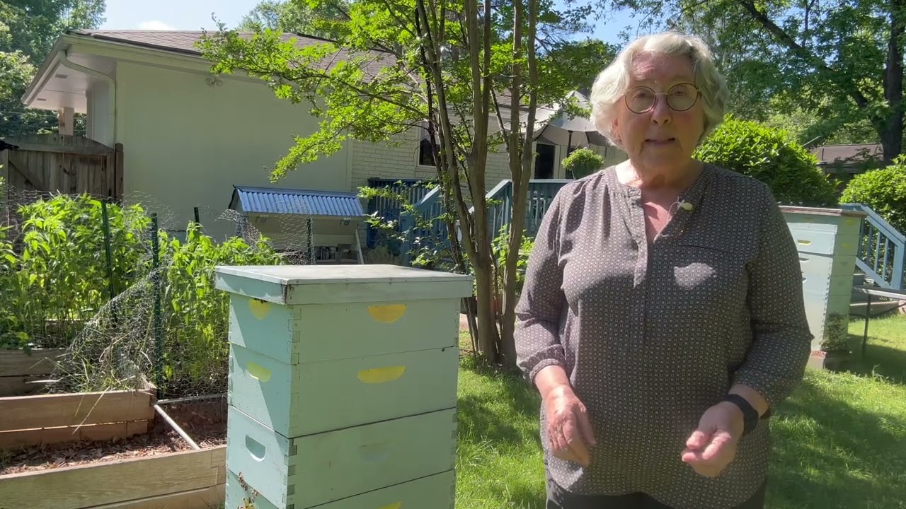 Beekeeping Tip: The Value of the Slatted Rack