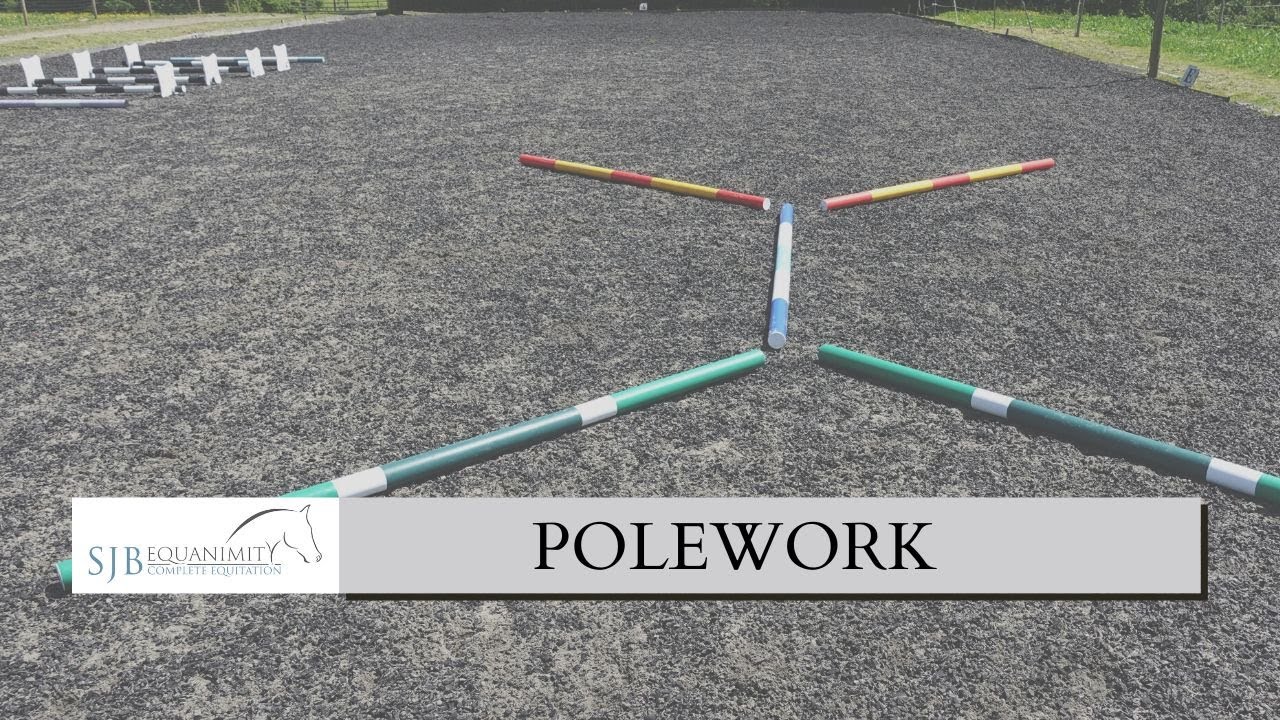 Ridden POLEWORK for Suppleness and coordination | SJB Equanimity