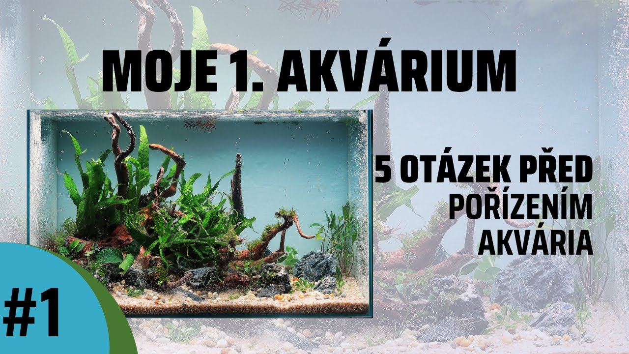 Nenáročné Akvárium Pro Začátečníky, Bez CO2/ Příručka Jak založit Akvárium/ #1 - 5 otázek před koupi