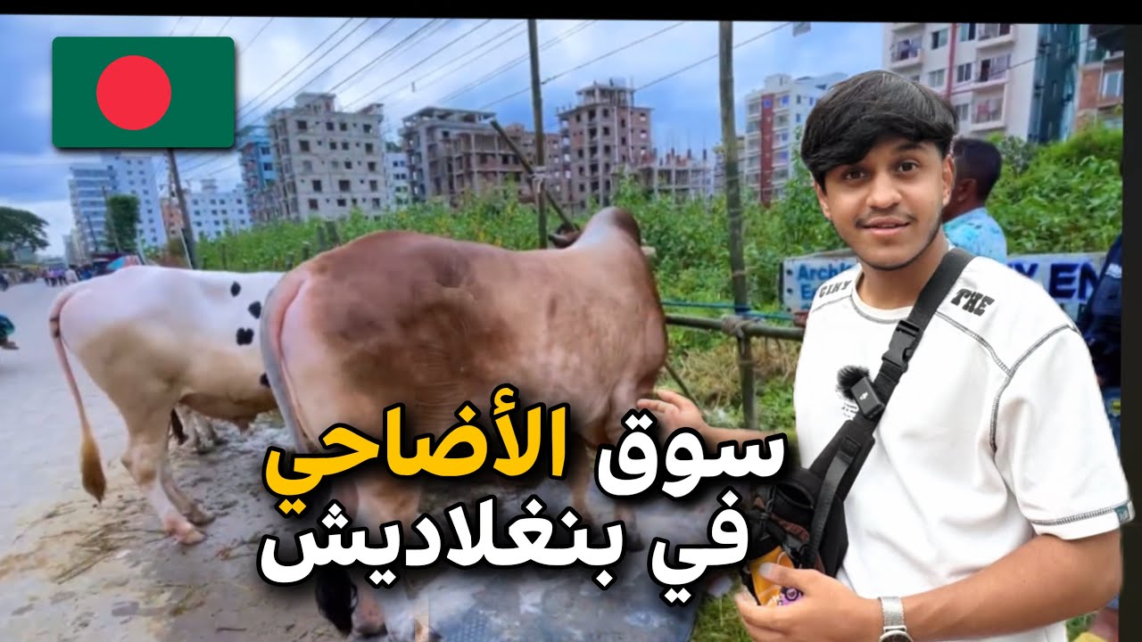 سوق الأضاحي في بنغلاديش 🇧🇩 🐮 | سعر البقر ٥٠٠،٠٠٠ ألف 🤯💸