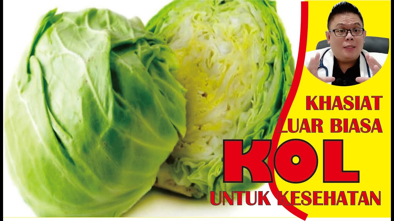 KHASIAT KOL (KUBIS) UNTUK KESEHATAN