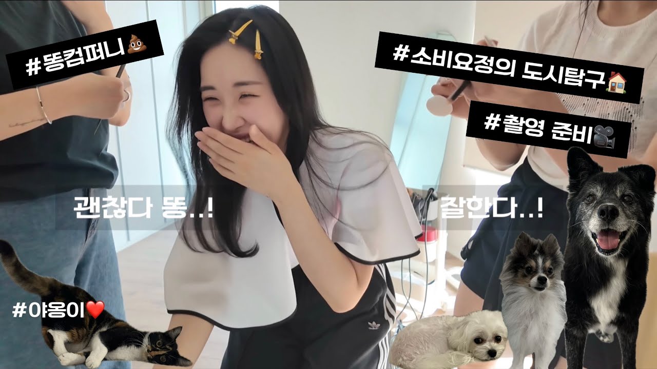 ⭐️똥똥민똥 데뷔⭐️