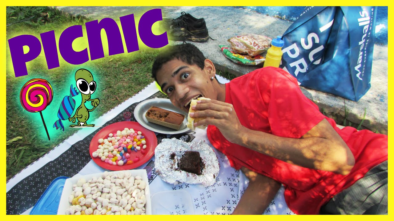 MEU PRIMEIRO PICNIC