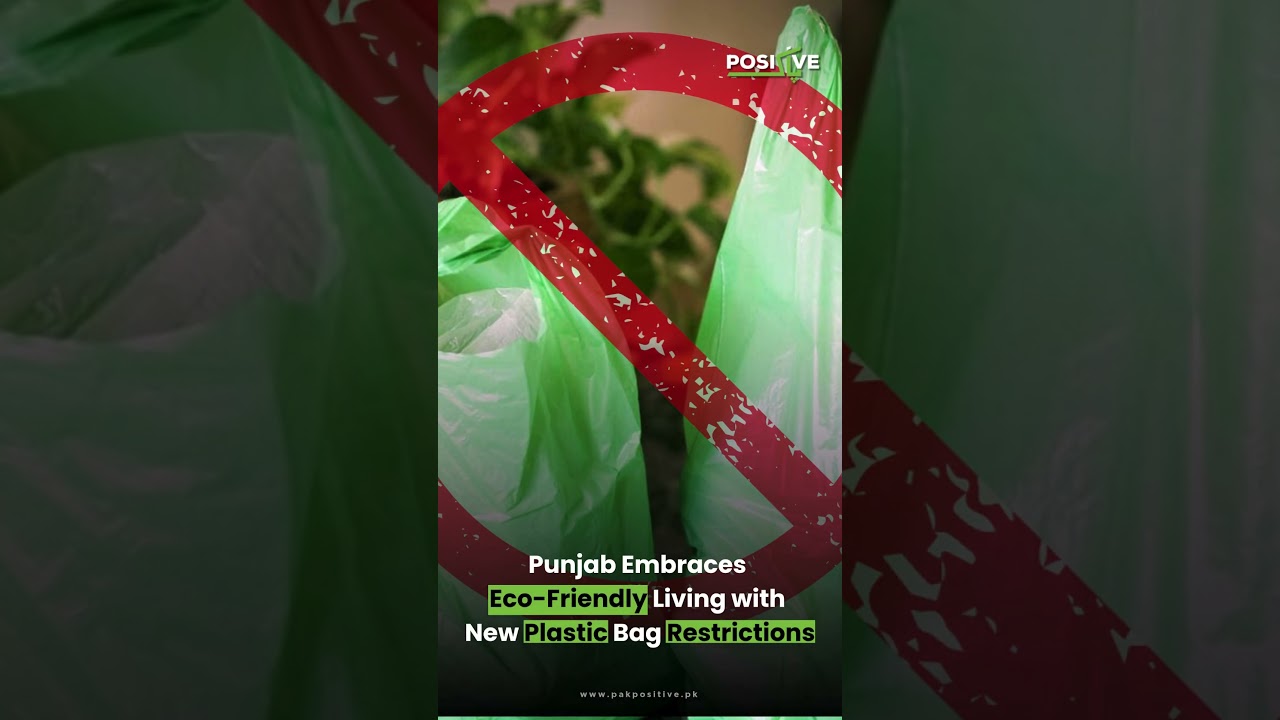 Punjab Launches Bold Anti-Plastic Campaign: Ban on Thin Plastic Bags Now in Effect!