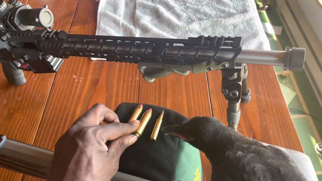 Bowers Group, LLC silencers: I can now swap my VERS 50 suppressor between my 50 Beowulf and 45-70.