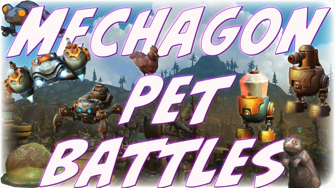 How Much Reputation Will the Pet Battles on Mechagon give?