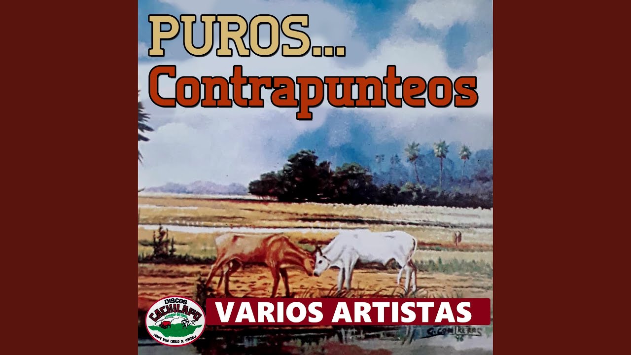 Contrapunteo en Arauca