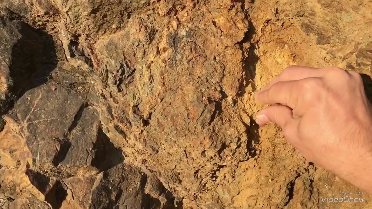 Altının yerini öğren