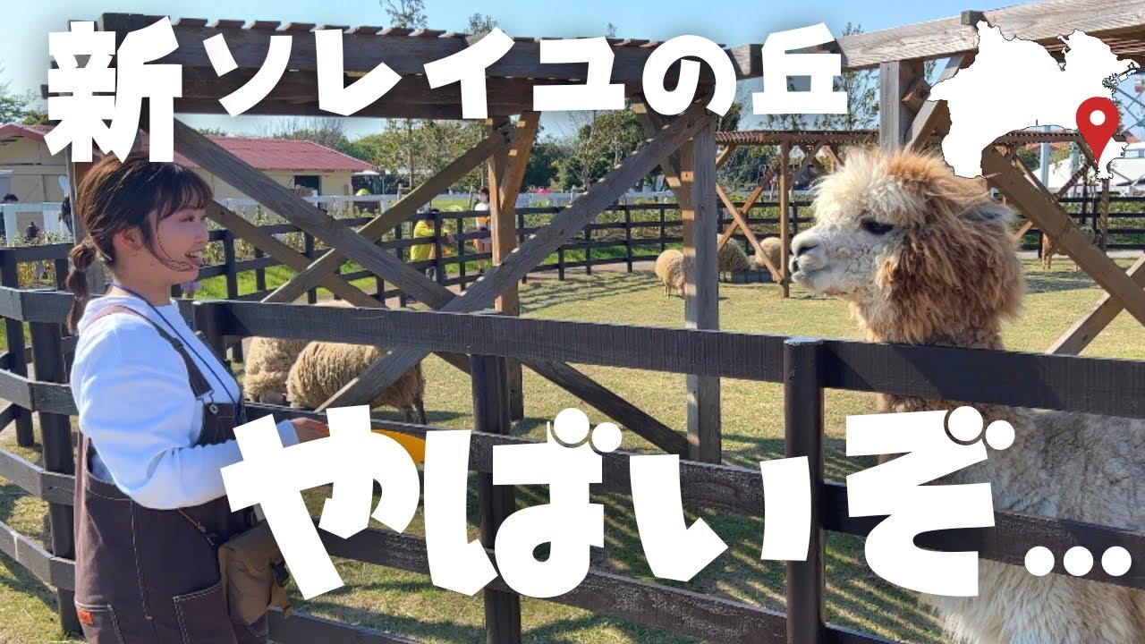 [Soleil Hill, город Йокосука] Недавно отремонтированный парк развлечений Soleil Hill поражает воо...