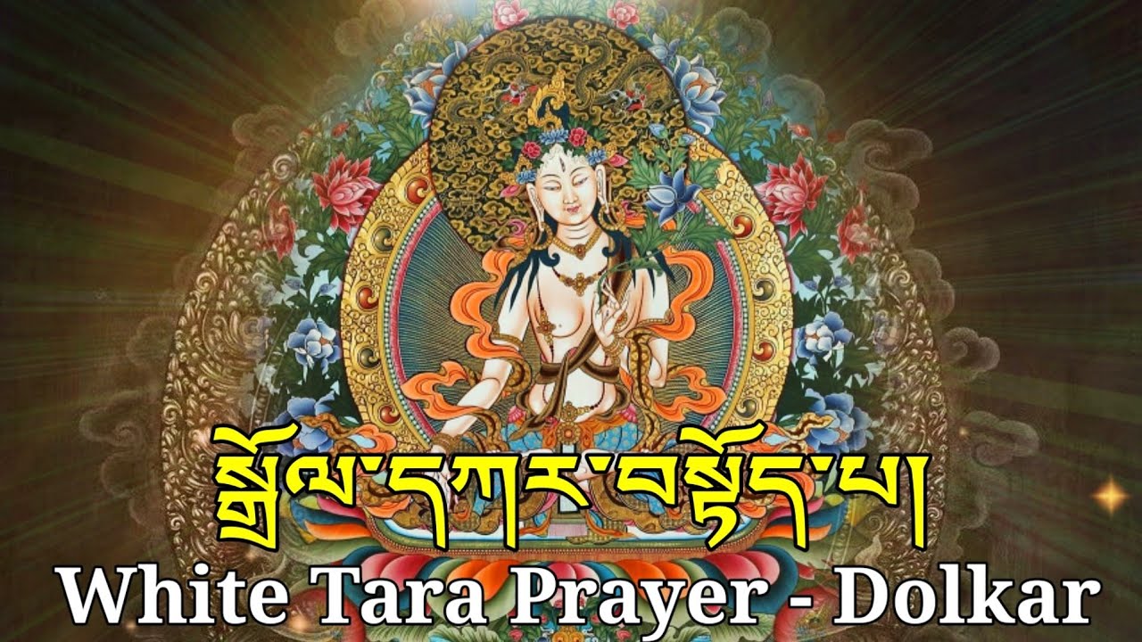 ☸White Tara Prayer(Dolkar)སྒྲོལ་དཀར།|Drolma, Dolma, Tara|Buddhist Prayer|Short, Tibetan Prayer