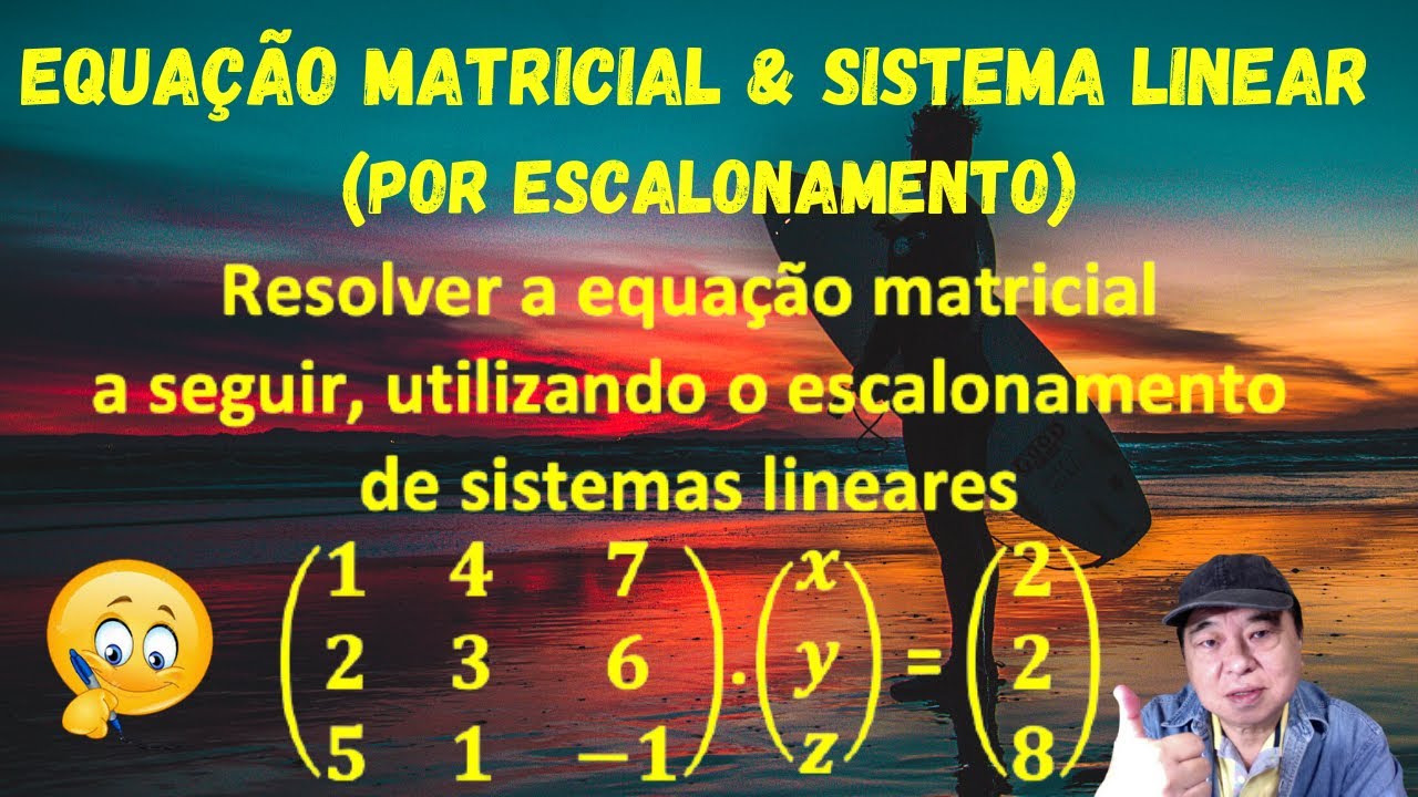 Equação Matricial formando um sistema linear com resolução por escalonamento