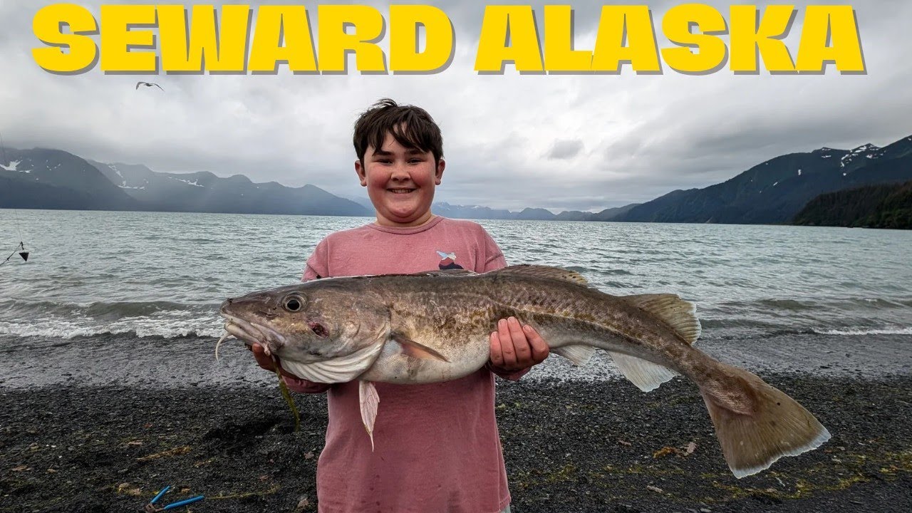 Exploring Seward's Wonders: RV Camping, Kenai Fjords Boat Tour, & Fishing with a Local