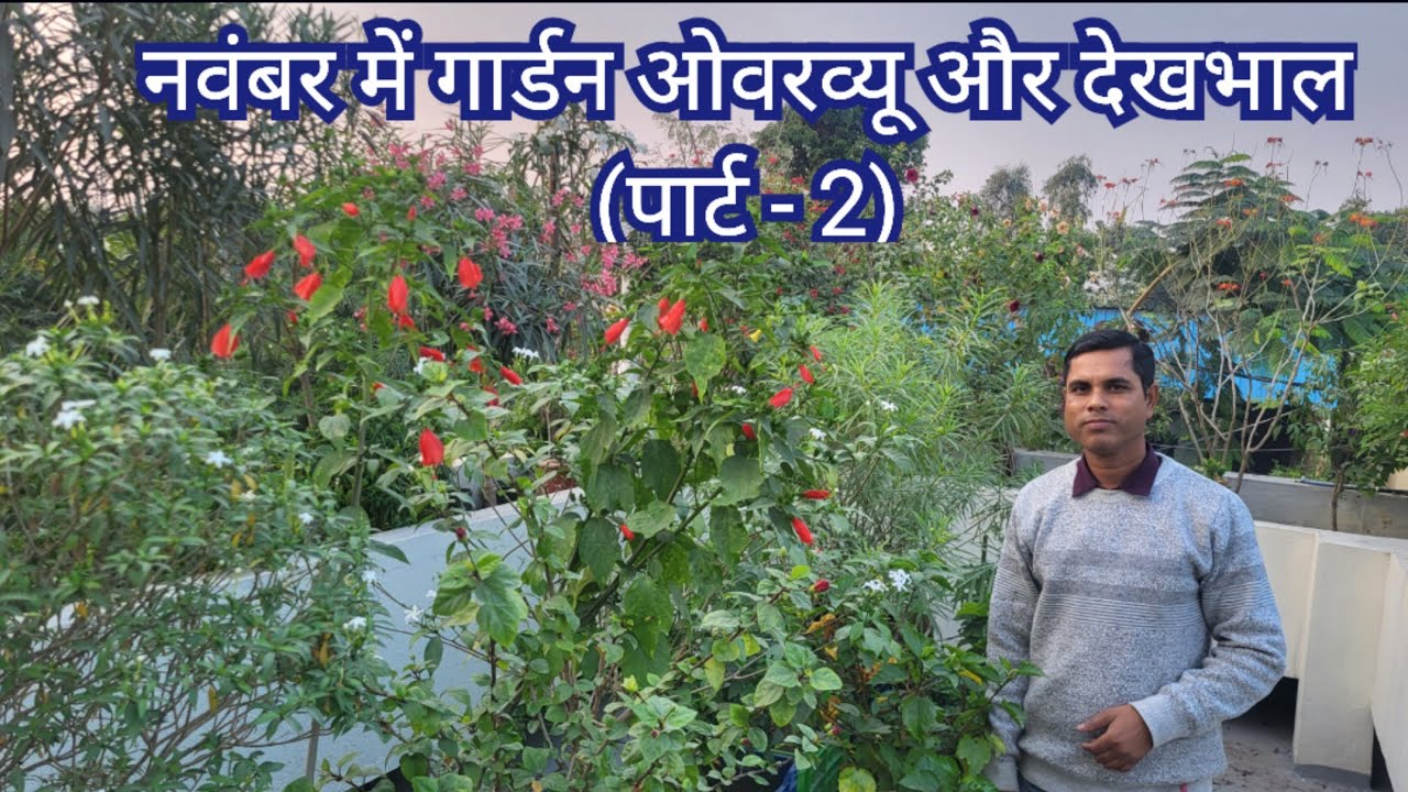 November Garden Overview and Care Part - 2