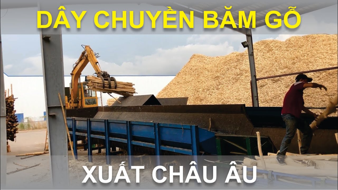 Dây chuyền sản xuất dăm gỗ băm xuất khẩu sang thị trường châu âu EU