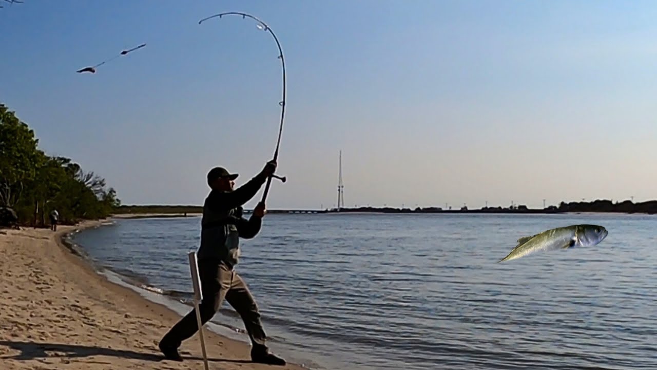 QUE NECESITO PARA PESCAR ANJOVAS GRANDES (PESCA Y COCINA)