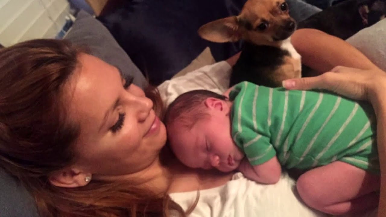 Local 10's Jacey Birch speaks out about son's kidney condition