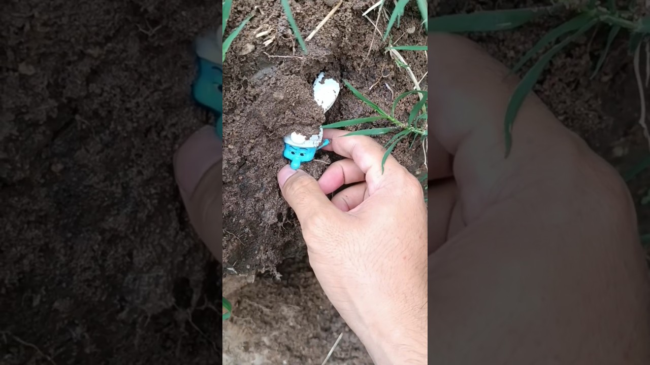 Encontré un Pitufo dentro de una piscina abandonada bajo mi jardín con mi perro 