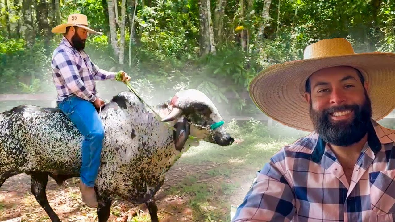 XUCRÃO ENCAROU O TOURO SOBERANO E MONTOU NELE PELA PRIMEIRA VEZ!!!