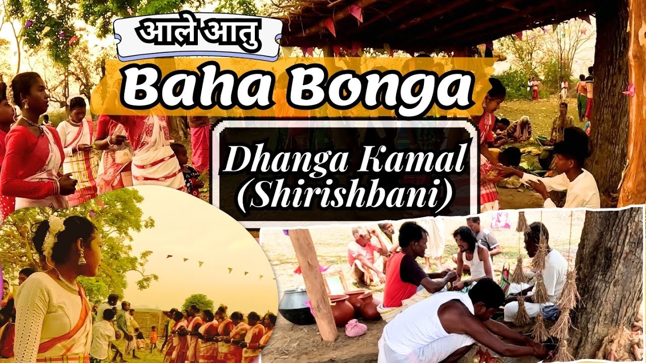 𝐃𝐡𝐚𝐧𝐠𝐚 𝐁𝐚𝐡𝐚 𝐁𝐨𝐧𝐠𝐚 #newsantalivideo #santhali #santali #santhalivideo baha bonga