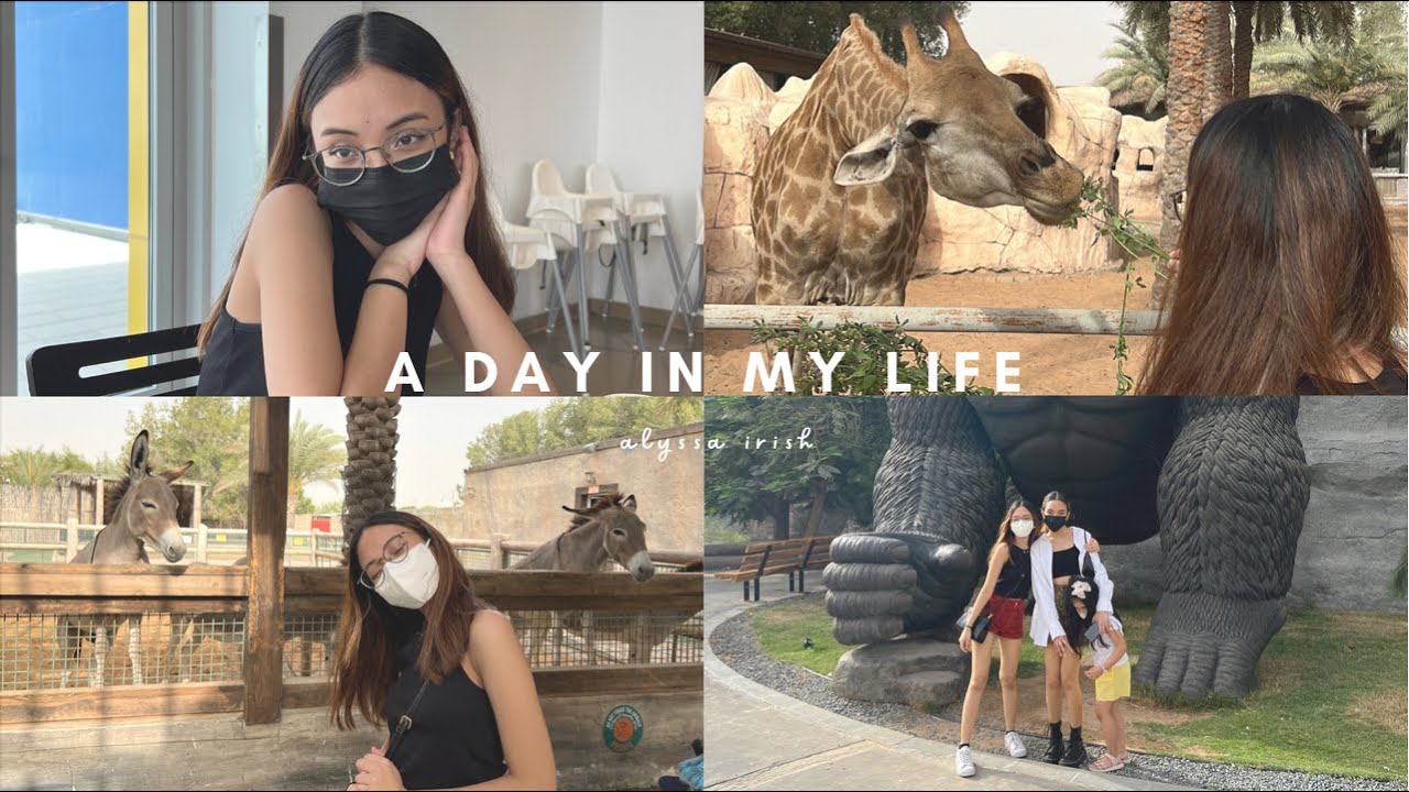 a day in my life 🧺 ikea, visiting the zoo, feeding giraffes, riding a camel 🐪🌿