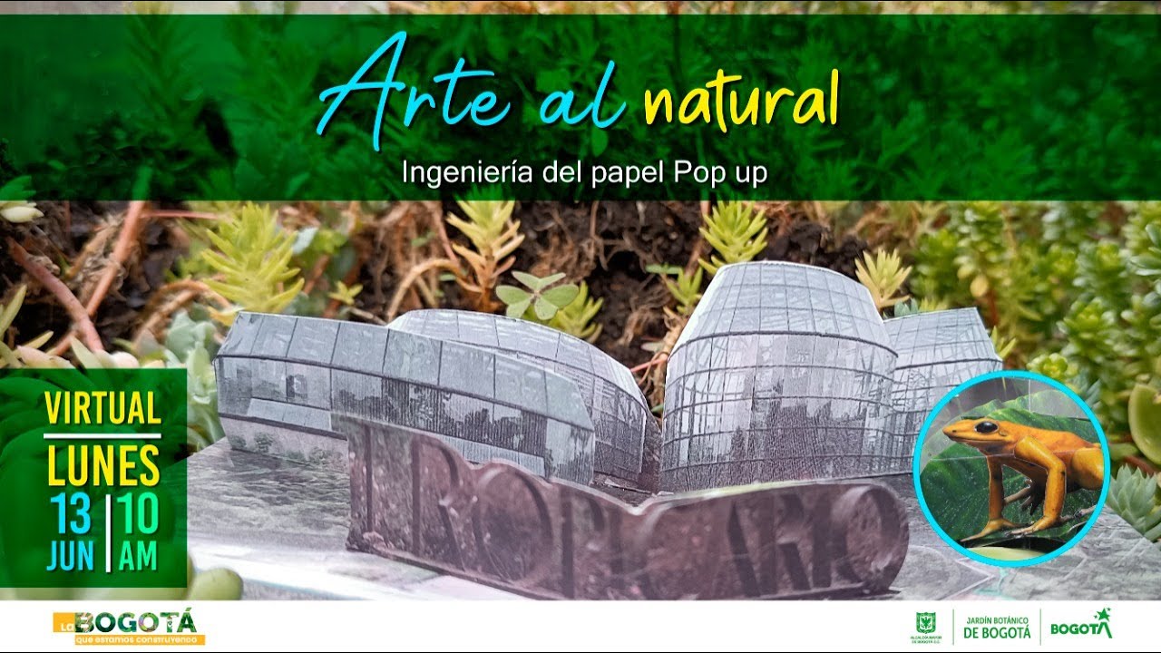 Arte al Natural -  Ingenier&iacute;a del papel Pop-up, ejercicios b&aacute;sicos | Jard&iacute;n Bot&aacute;nico de Bogot&aacute;