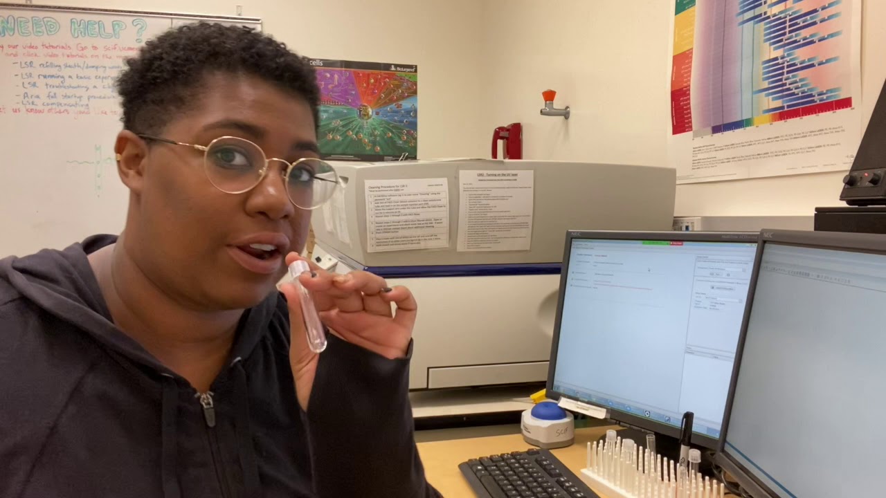 Daily startup and CST on BD LSR II Cytometer