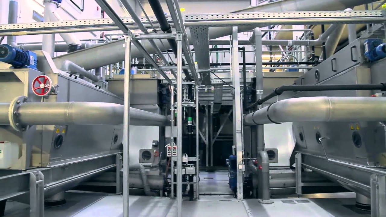 burger-medien.tv | zak-ringsheim.de