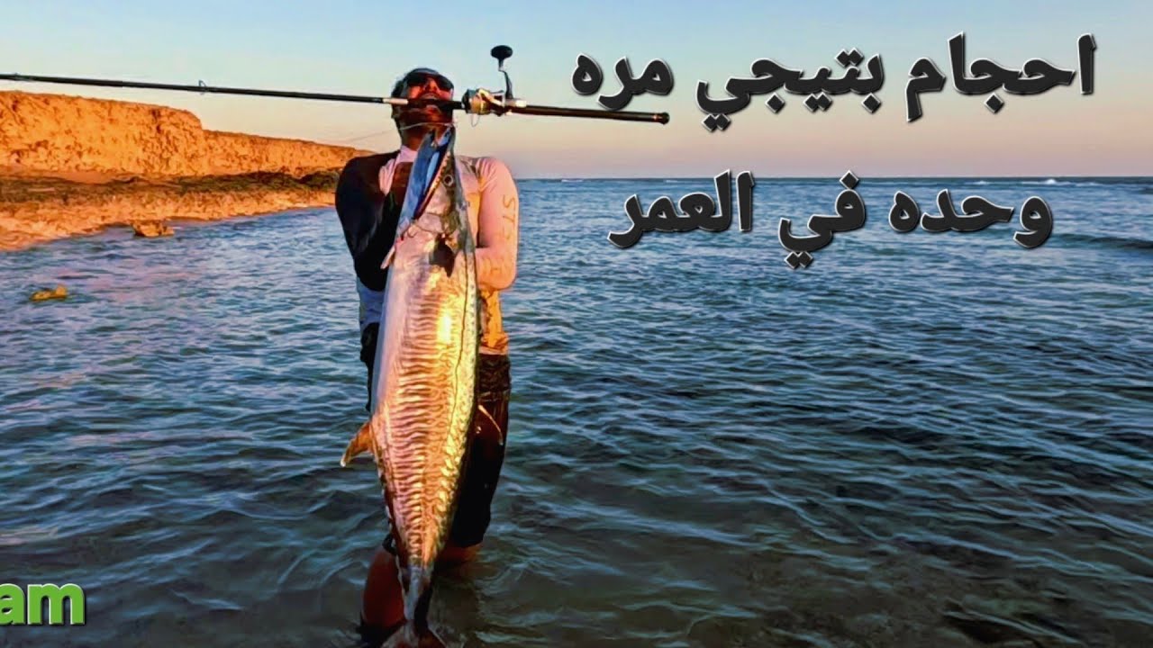 Big Kingfish, Brutal Fight 