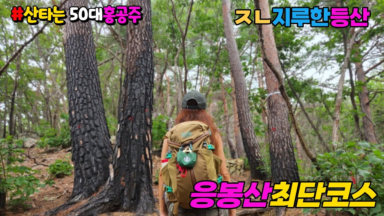 응봉산 울진 덕구온천 응봉산등산안내초소 모랫재 제1헬기장 제2헬기장 응봉산최단코스  산타는50대홍공주의 응봉산등산추천코스